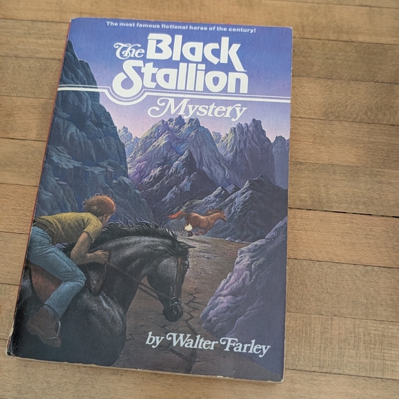 The Black Stallion Book Collection - Picture 14 of 14